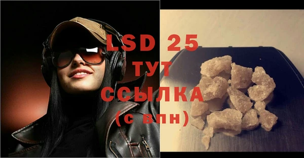PSILOCYBIN Осинники