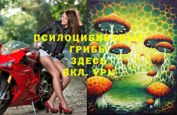 прущие грибы Алексеевка
