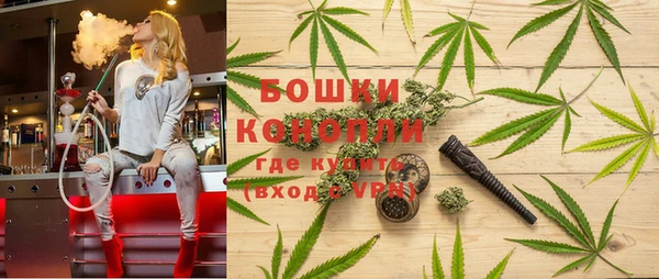 прущие грибы Алексеевка