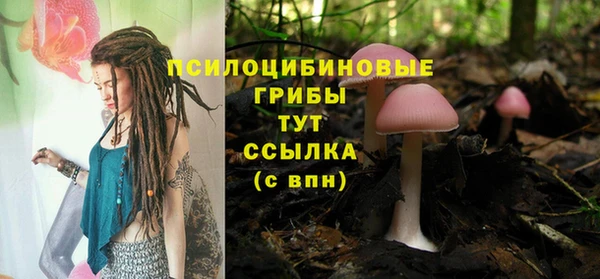дмт Алзамай